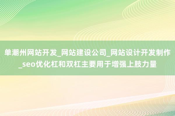 单潮州网站开发_网站建设公司_网站设计开发制作_seo优化杠和双杠主要用于增强上肢力量