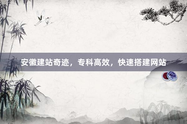 安徽建站奇迹，专科高效，快速搭建网站