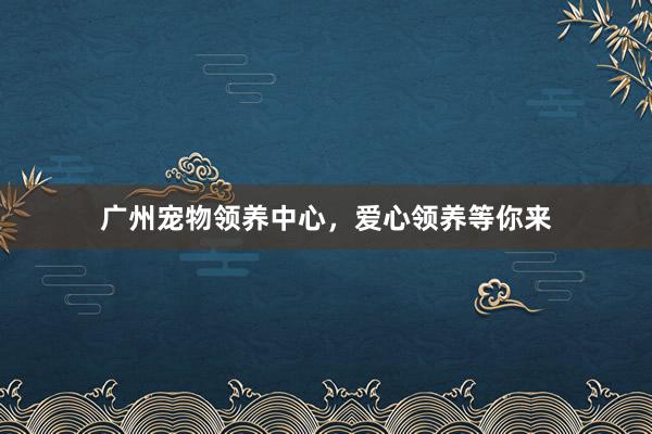 广州宠物领养中心,爱心领养等你来
