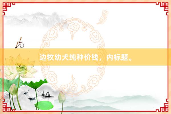 边牧幼犬纯种价钱，内标题。